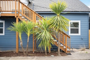 Property grounds - Wonderful Coastline Setting, Pet Friendly, Seconds to Beach, Community Fire-Pit, Volleyball.
Ocean Front. (Rockaway Beach)