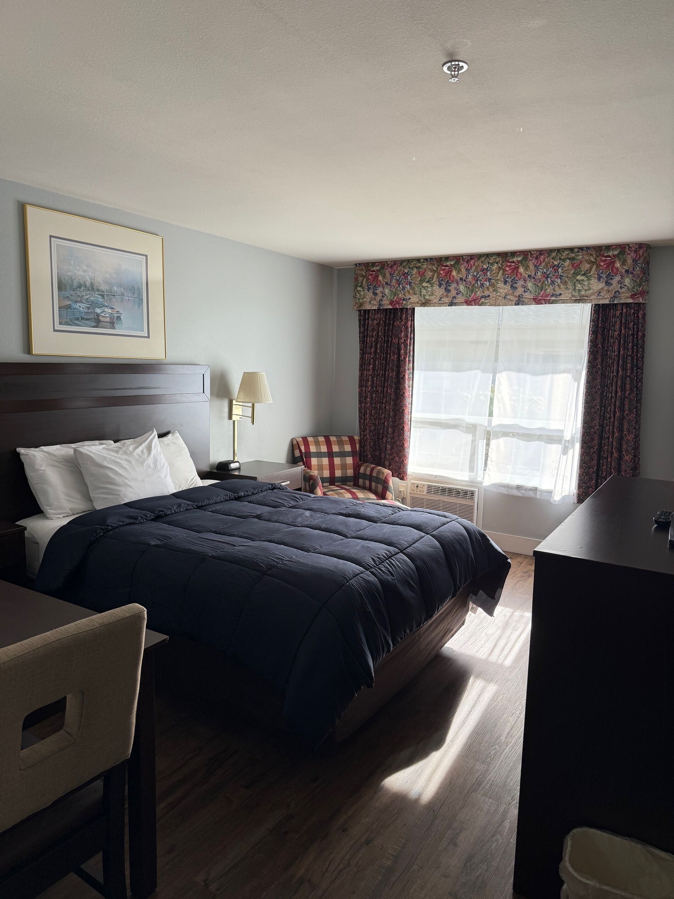 WiFi、ベッドシーツ