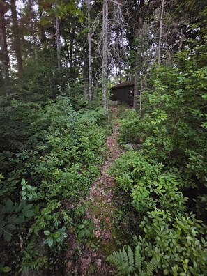 Property grounds - Charming 3-bedroom house on Forest Lake Ski/Snowmobile (Whitefield)