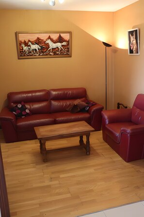 TV, fireplace, DVD player, stereo - Gîte Chez Jeanne: Shaded Terrace, Private Garden & Wi-Fi in Pern, Quercy Blanc (Pern)