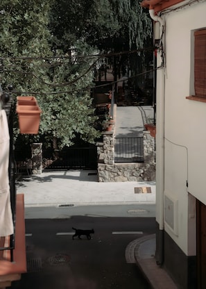 Une vue de rue avec un chat qui traverse, un mur de pierre et un bâtiment doté d’une fenêtre et d’une porte.