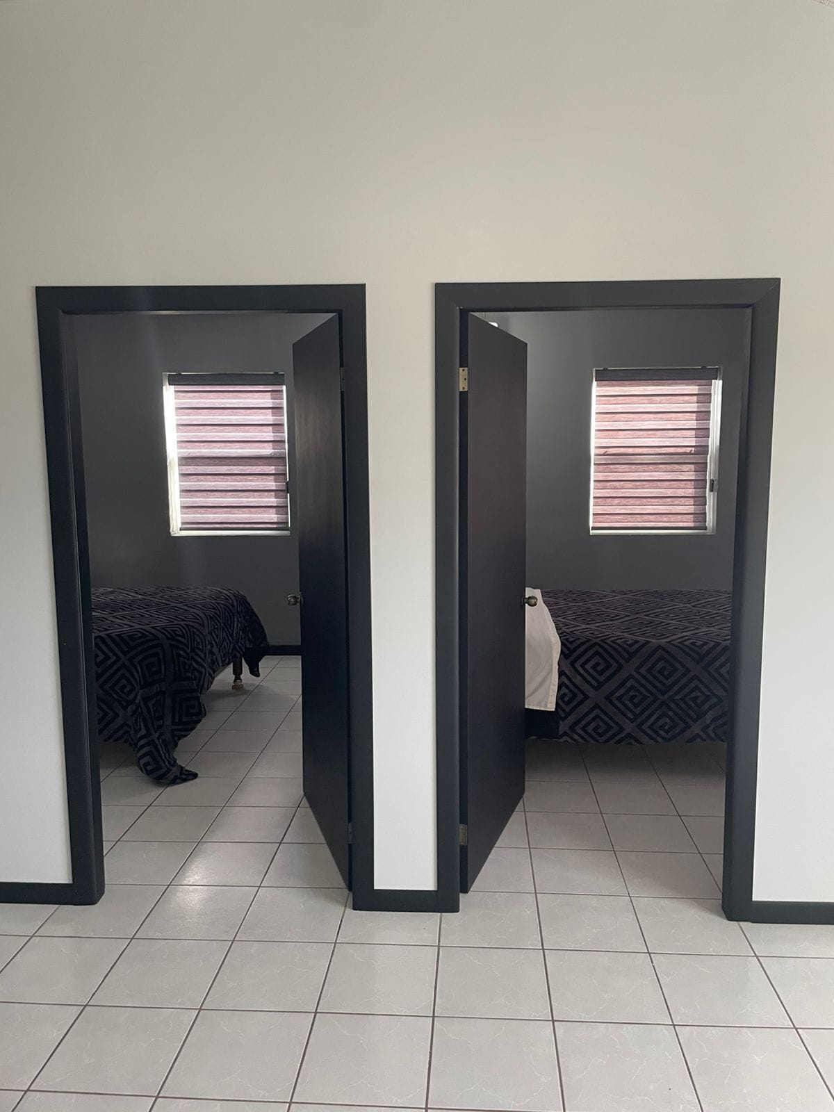 スイート | WiFi (無料)