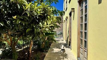 Terrein van de accommodatie