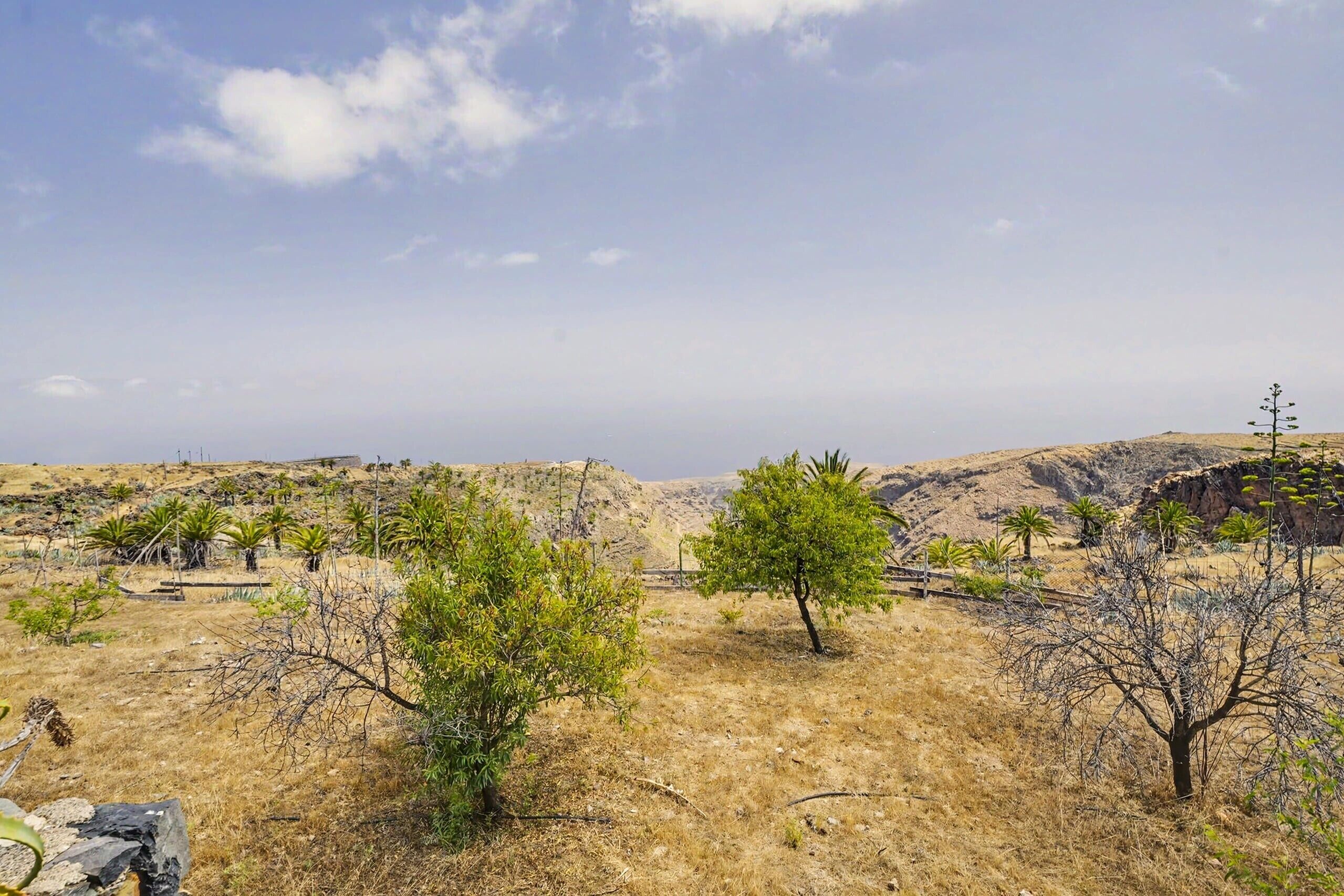 A dry, hilly landscape with sparse vegetation and a clear sky.