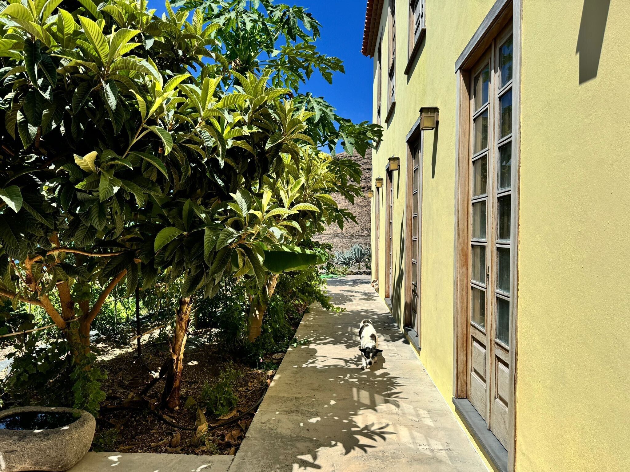 Áreas de la propiedad