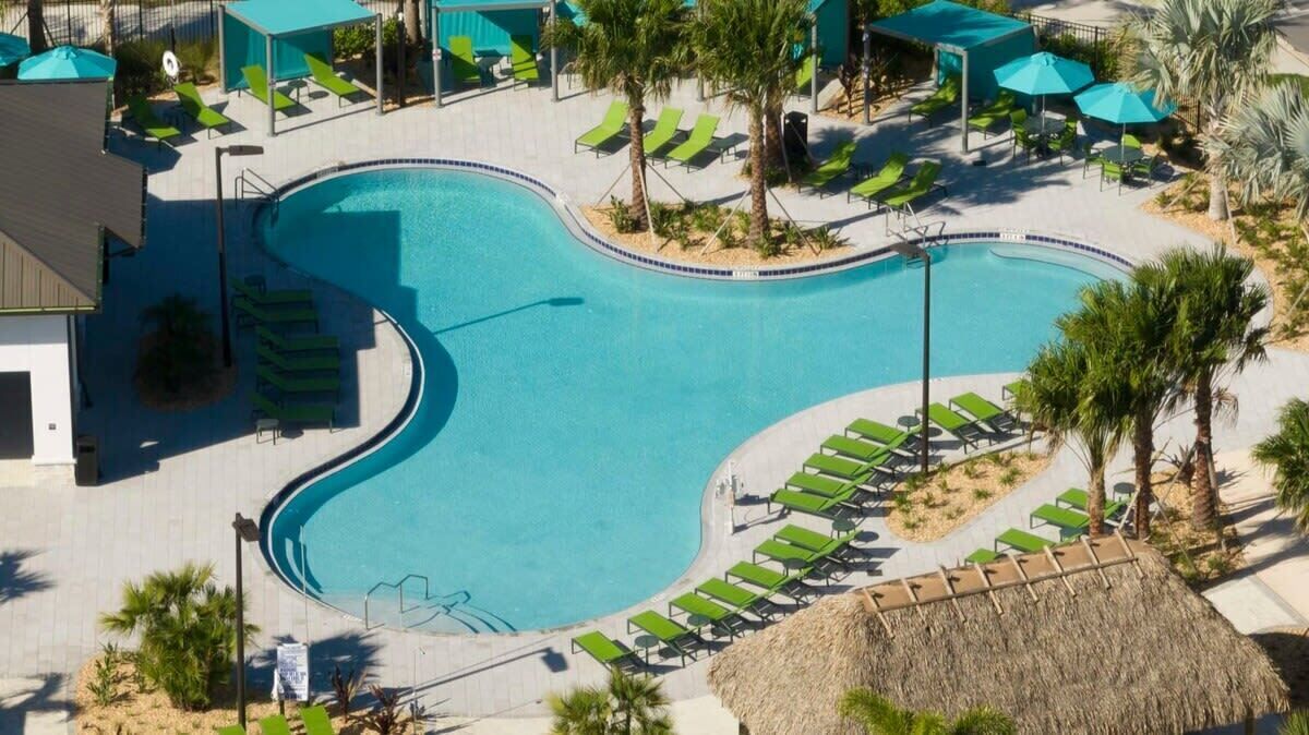 A swimming pool with a curved design, surrounded by lounge chairs and umbrellas, and palm trees.