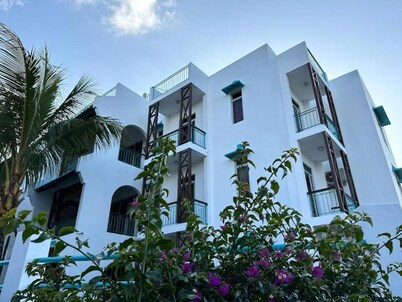 villaspingouin