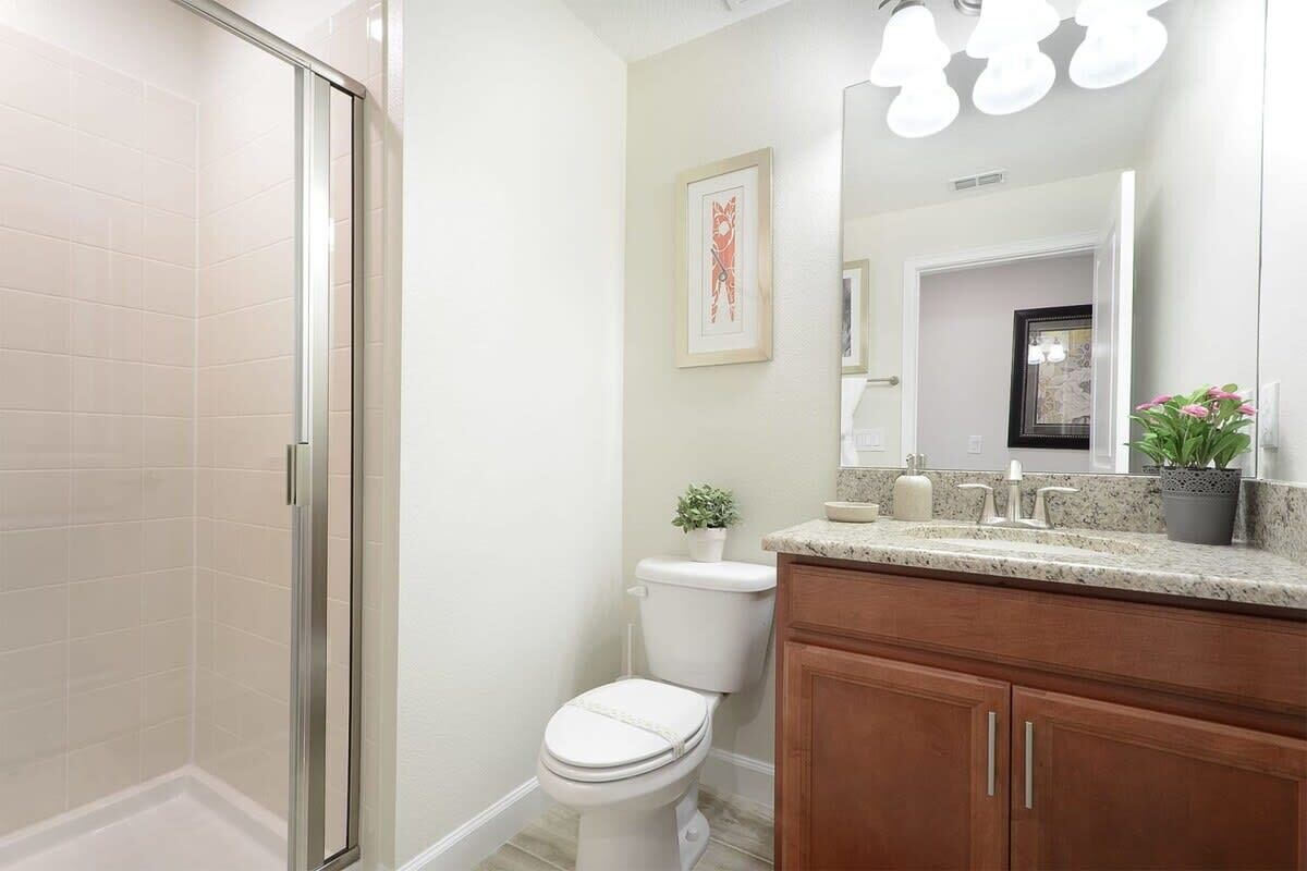 A bathroom with a shower, toilet, vanity, and a large mirror.