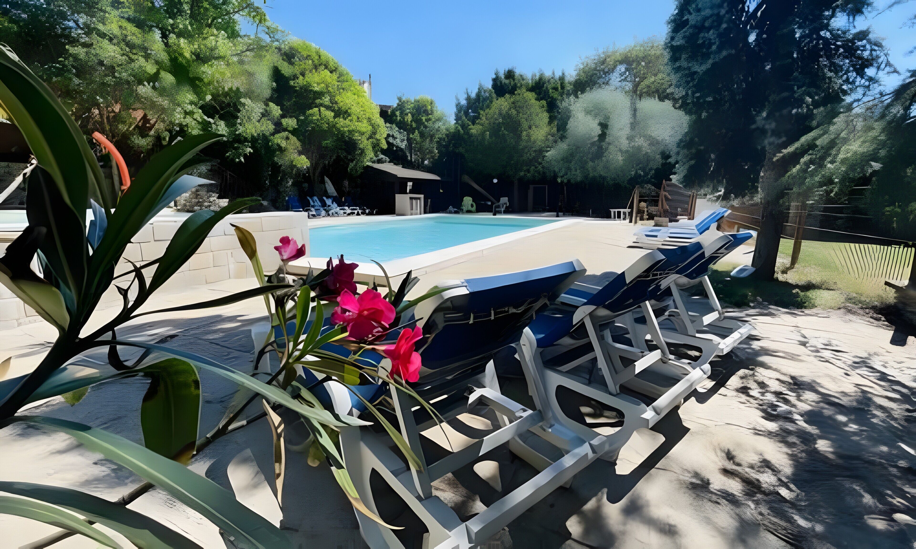 Un espace aménagé au bord de la piscine, avec des chaises longues, une piscine et une végétation luxuriante tout autour.