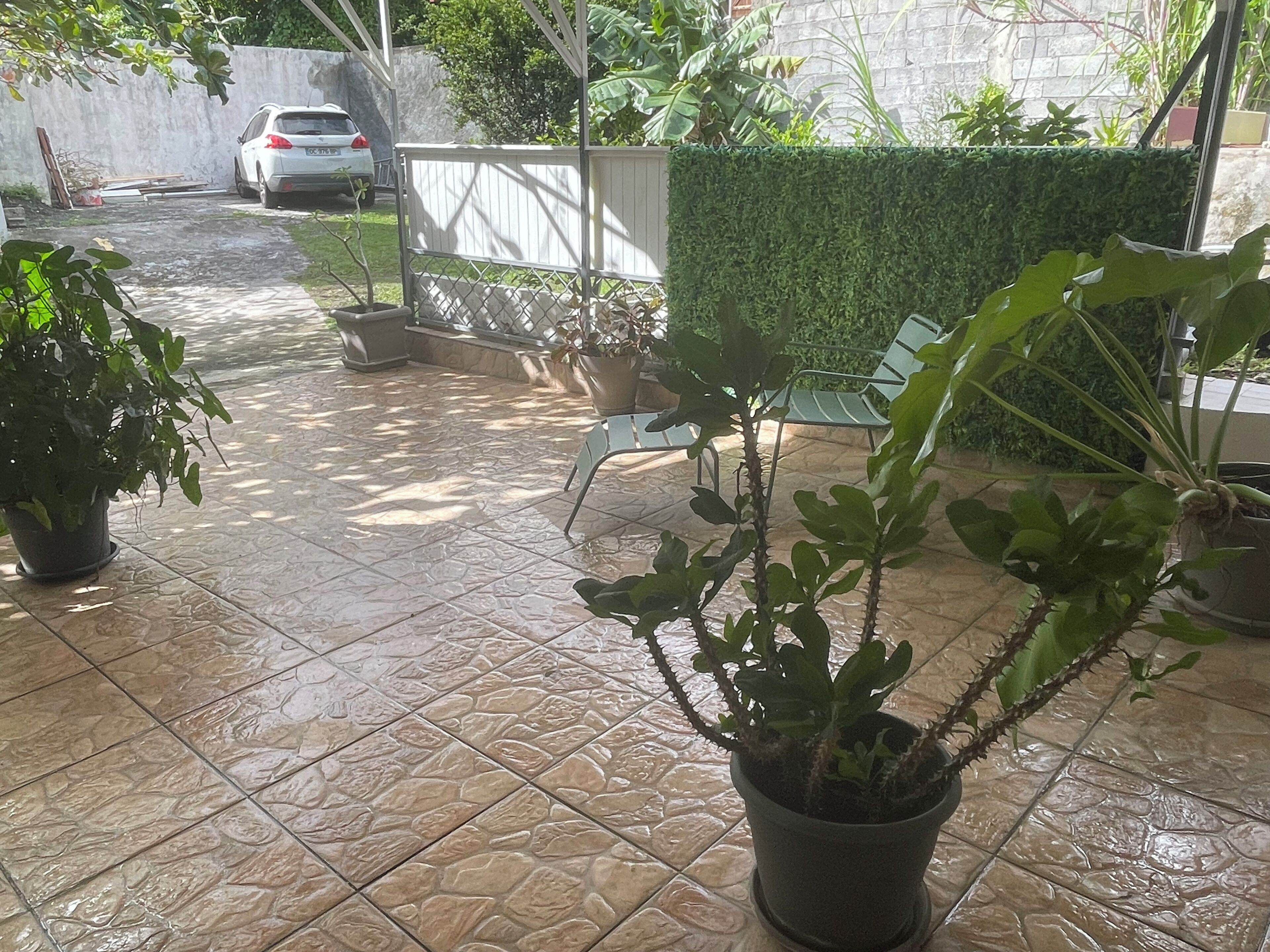 Un patio piastrellato con vasi di piante, un'auto bianca e un siepe sullo sfondo.