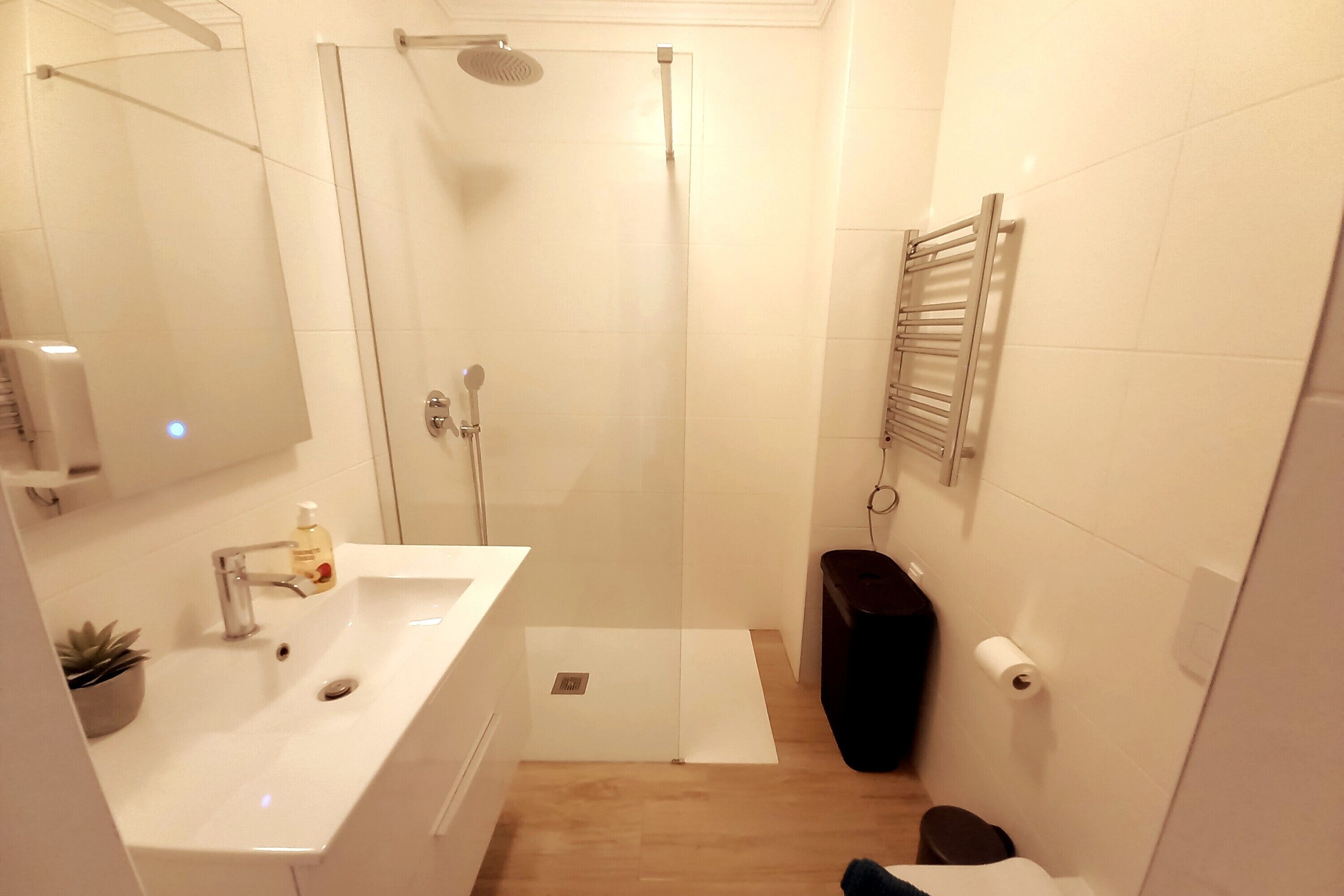 Dusche, Haartrockner, Handtücher