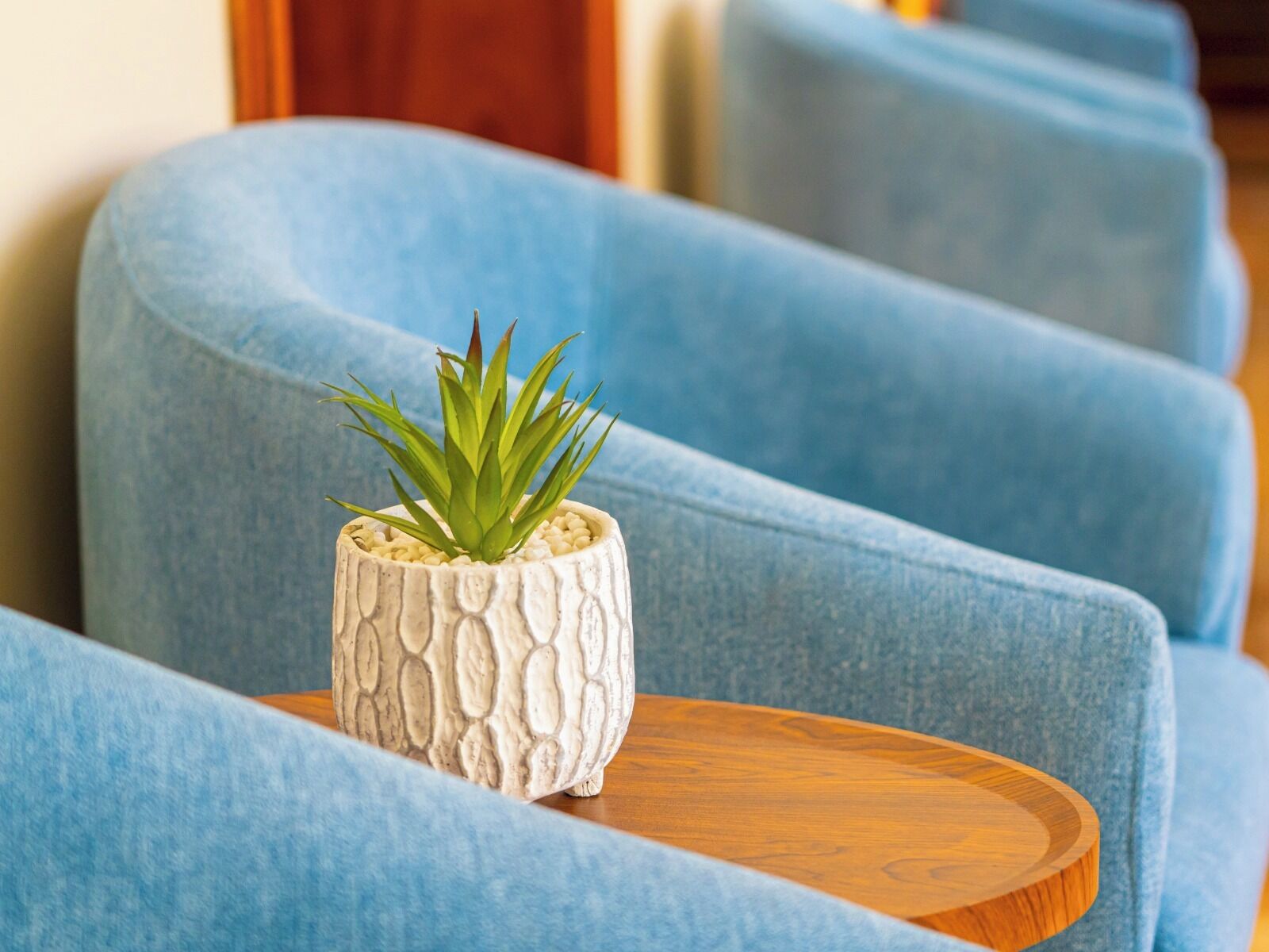 Un sofà blau folrat amb una planta blanca amb textura sobre una taula auxiliar de fusta.
