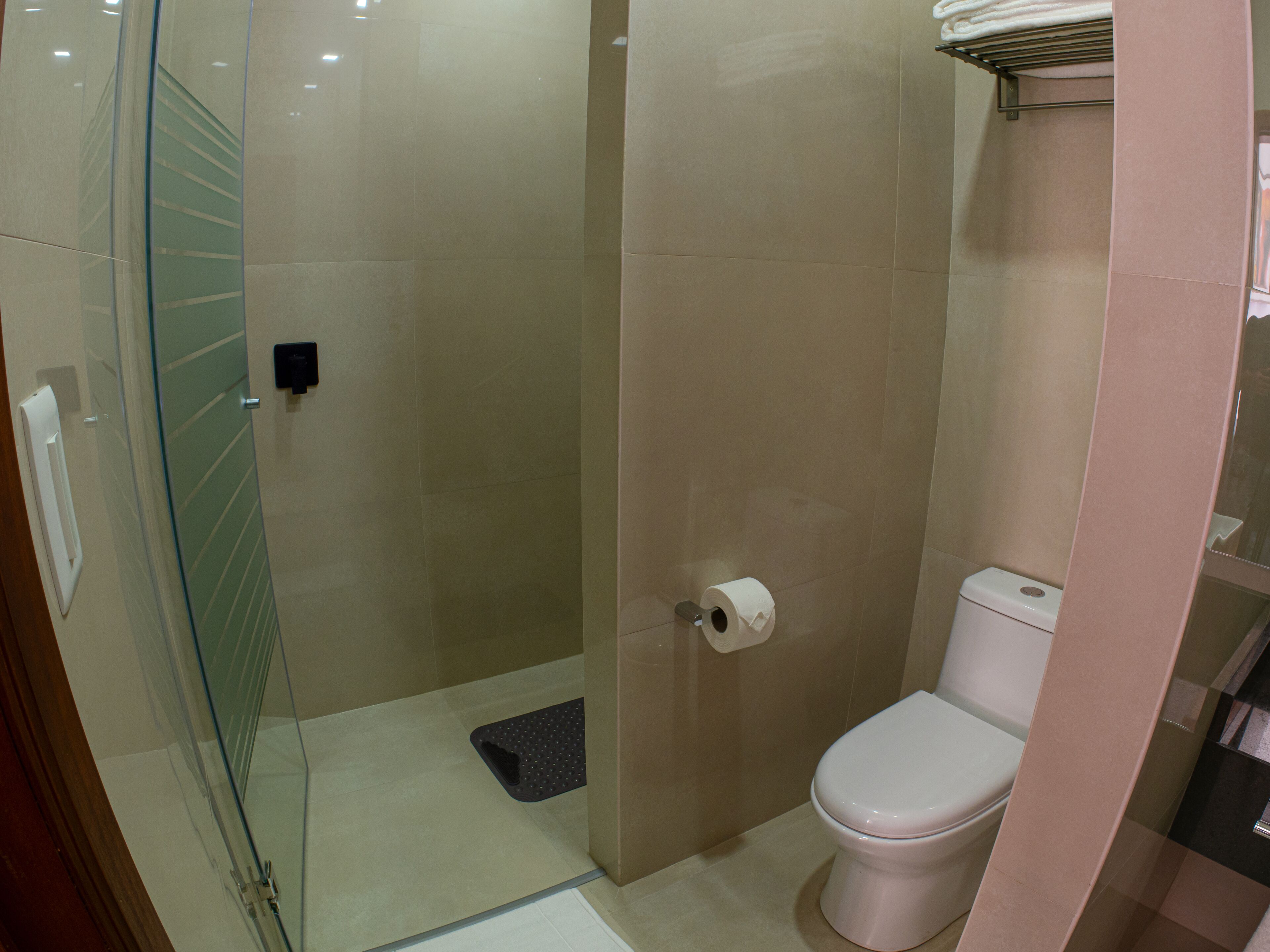 A bathroom with a glass shower enclosure, a toilet, and a towel rack.