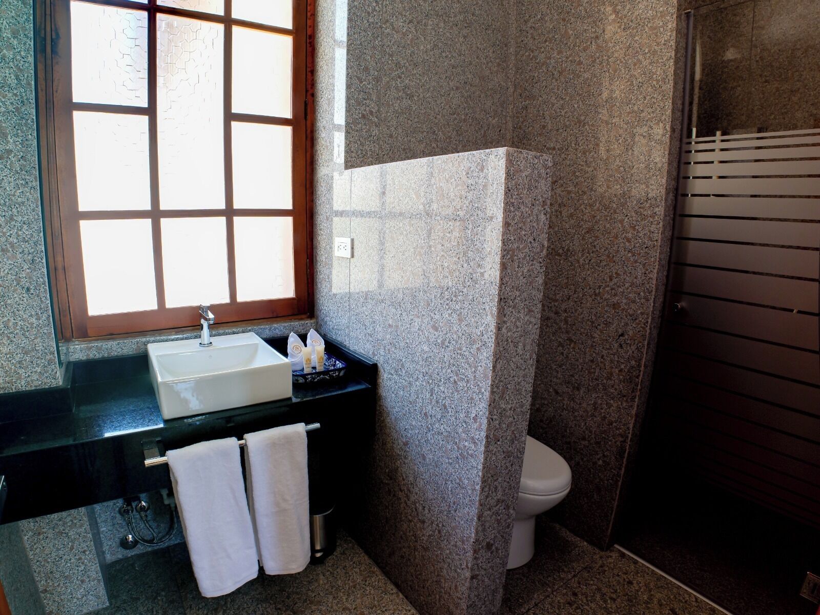 Habitación Deluxe | Baño | Regadera, toallas, jabón, shampoo 