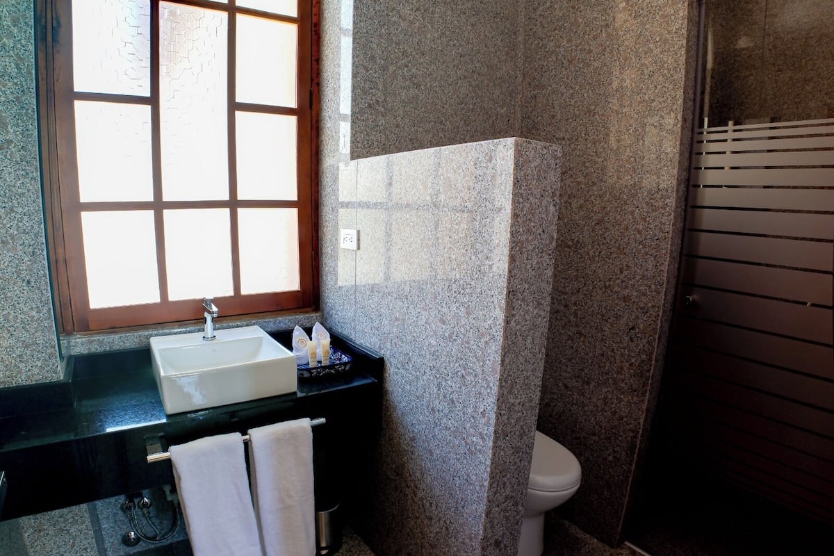 Habitación Deluxe | Baño | Regadera, toallas, jabón, shampoo