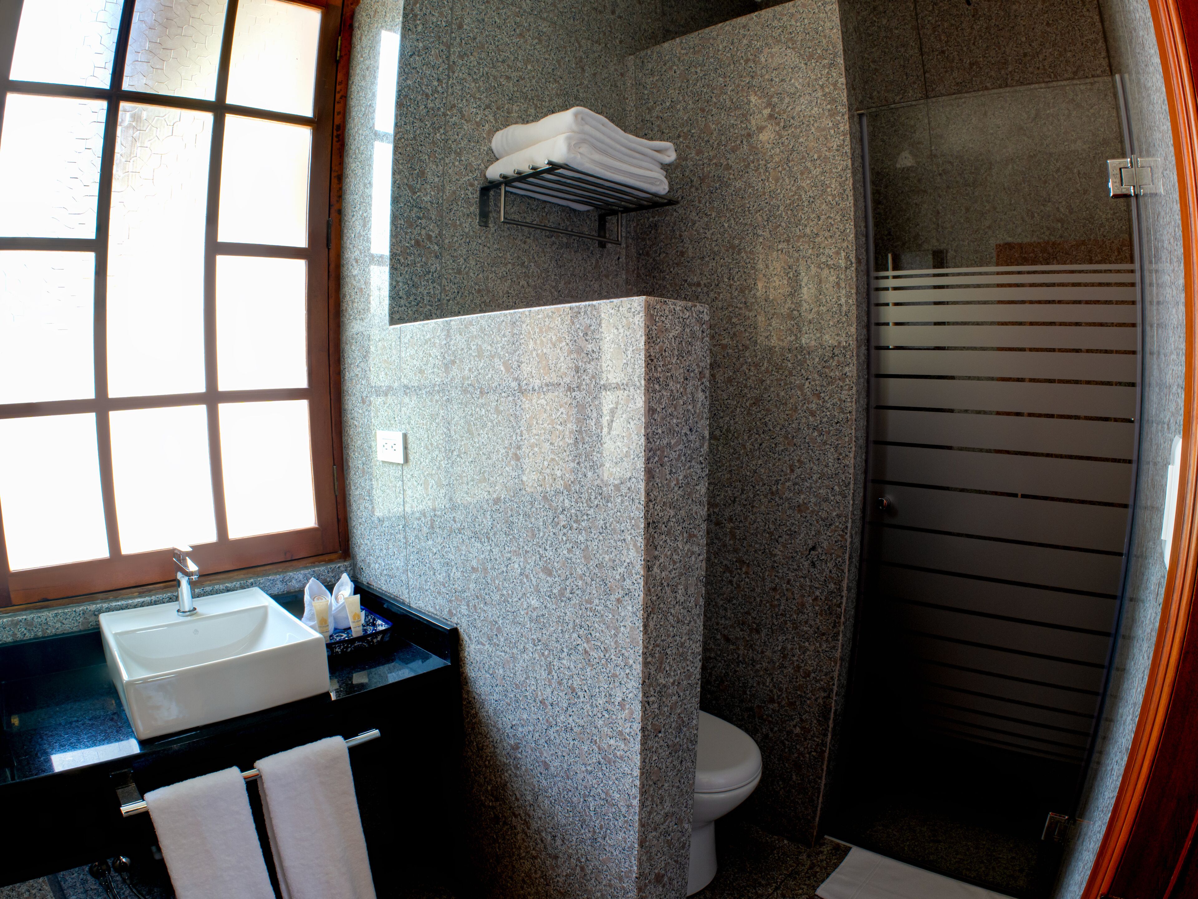 A bathroom with a granite countertop sink, a toilet, and a shower area.