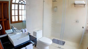 A modern bathroom with a glass-enclosed shower, a white toilet, and a sink with a mirror.