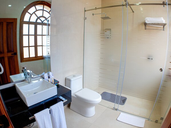A modern bathroom with a glass-enclosed shower, a white toilet, and a sink with a mirror.