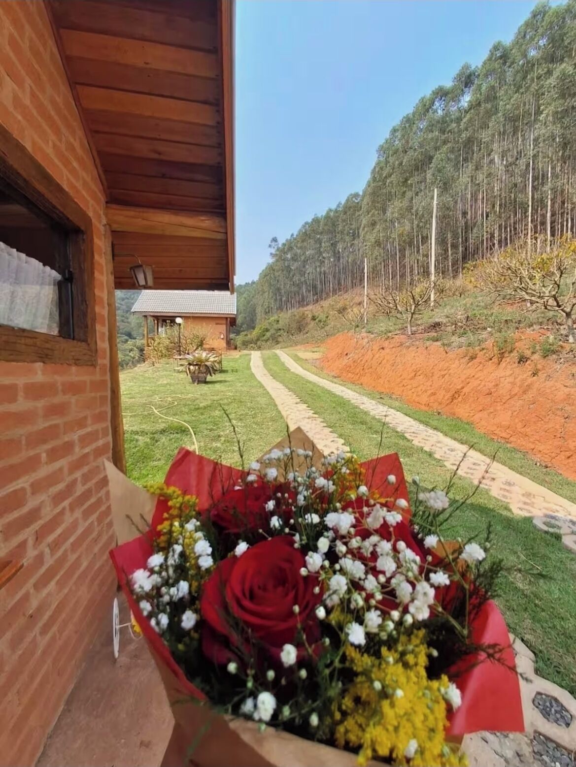 Área da propriedade