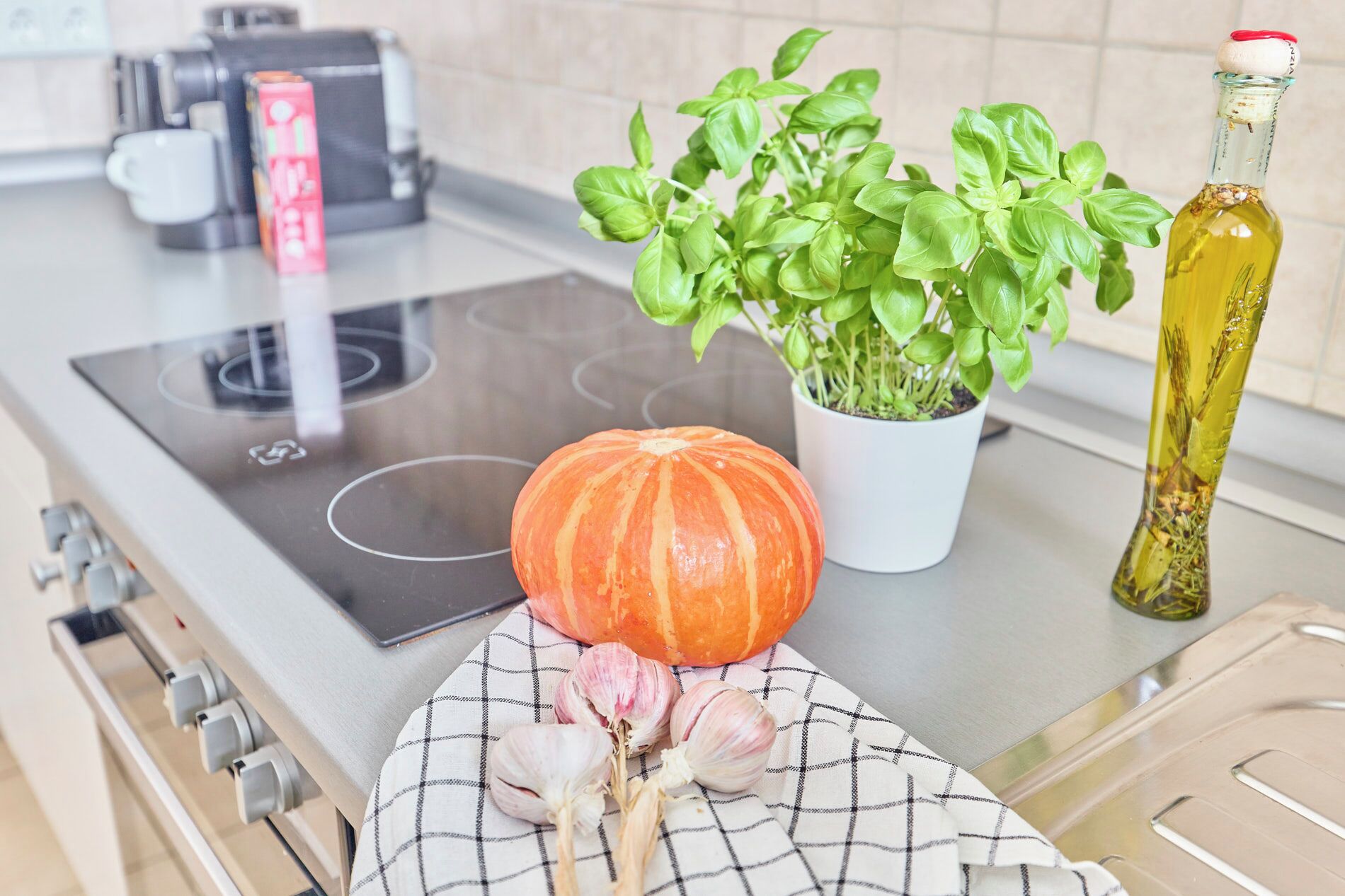 A kitchen with a white countertop, a black induction cooktop, a white potted basil plant, a pumpkin, and a bottle of olive oil.