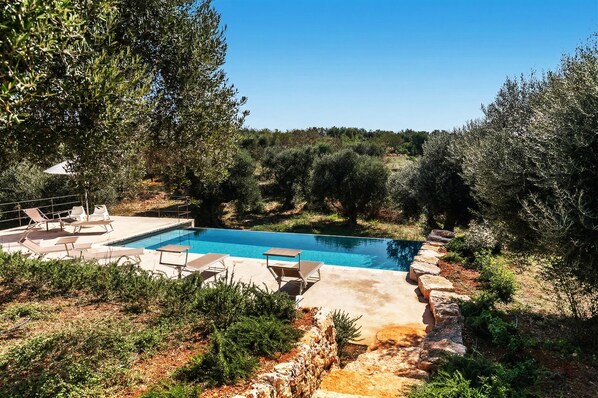 Une piscine entourée de chaises longues et d’une table, le tout bordé d’oliviers et d’un mur de pierres.
