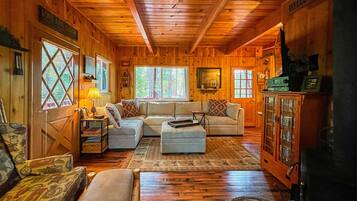 Smart TV, chimenea, reproductor de DVD y libros