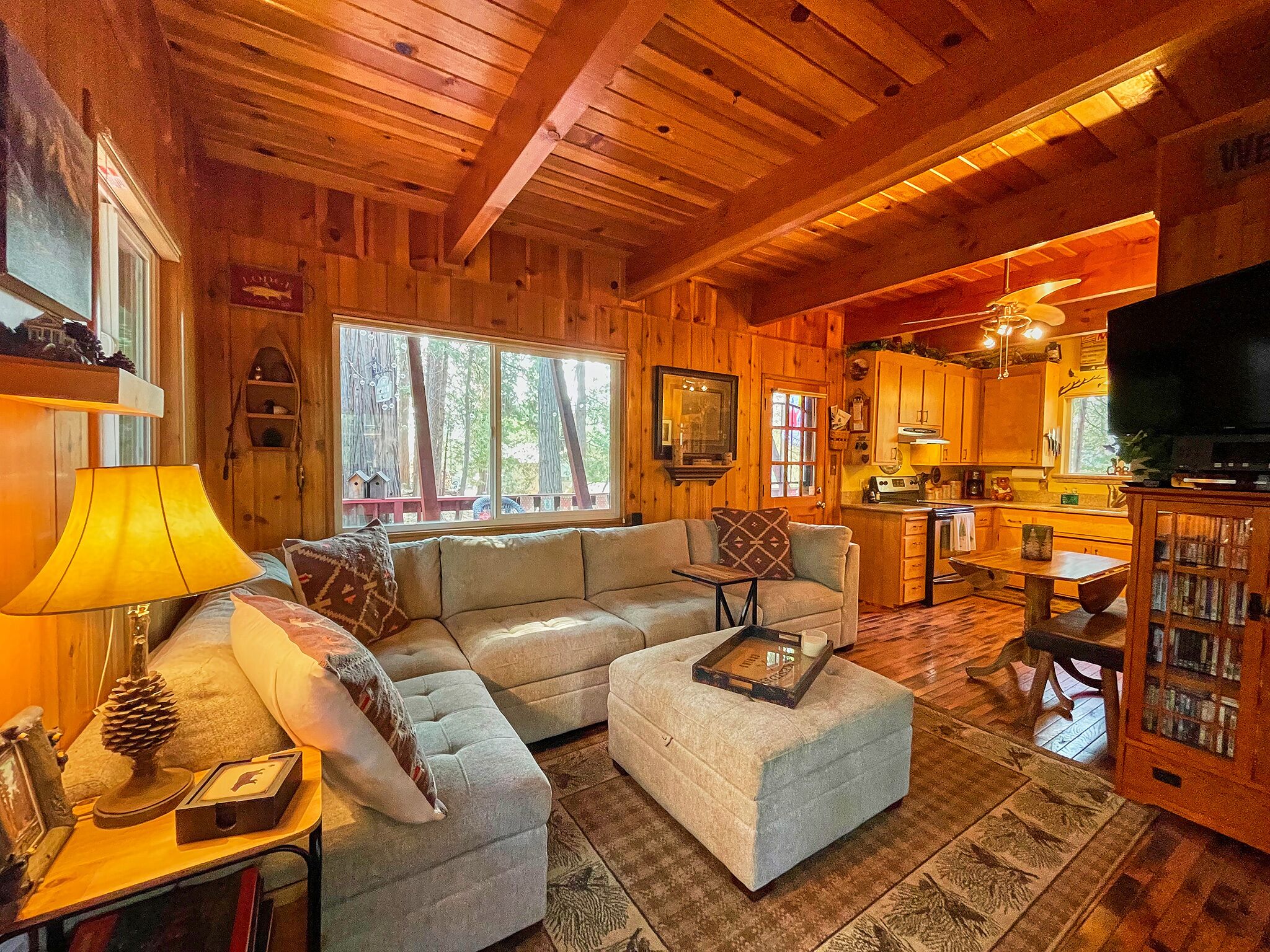 Smart TV, fireplace, DVD player, books