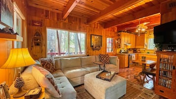 Smart TV, fireplace, DVD player, books