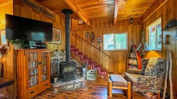 Smart TV, chimenea, reproductor de DVD y libros