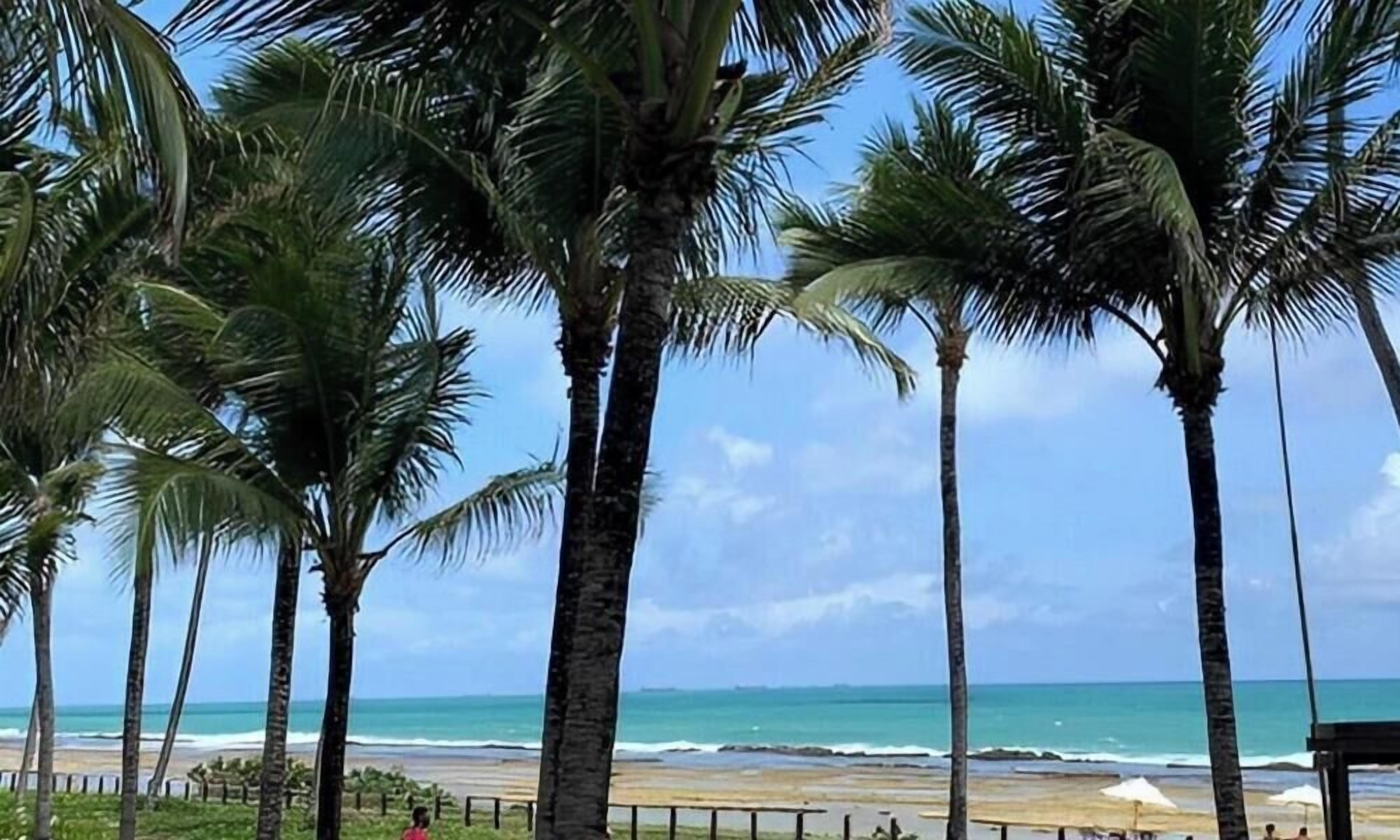 Apartamento | Praia | Na praia, areia branca 