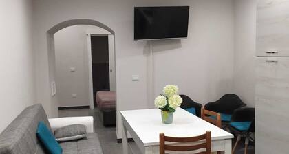 VACATION HOME HYDRANGEA