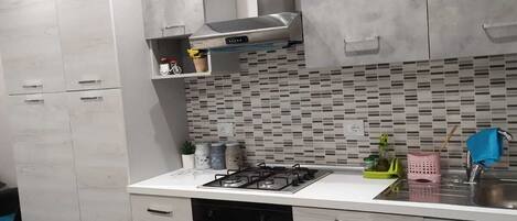 Oven, stovetop, dishwasher