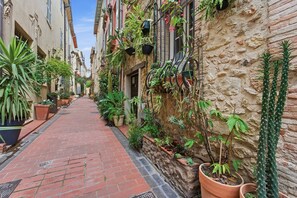 A narrow alley with potted plants and cacti lining the path. - Le Haut Castelet – Vieil Antibes (Antibes)