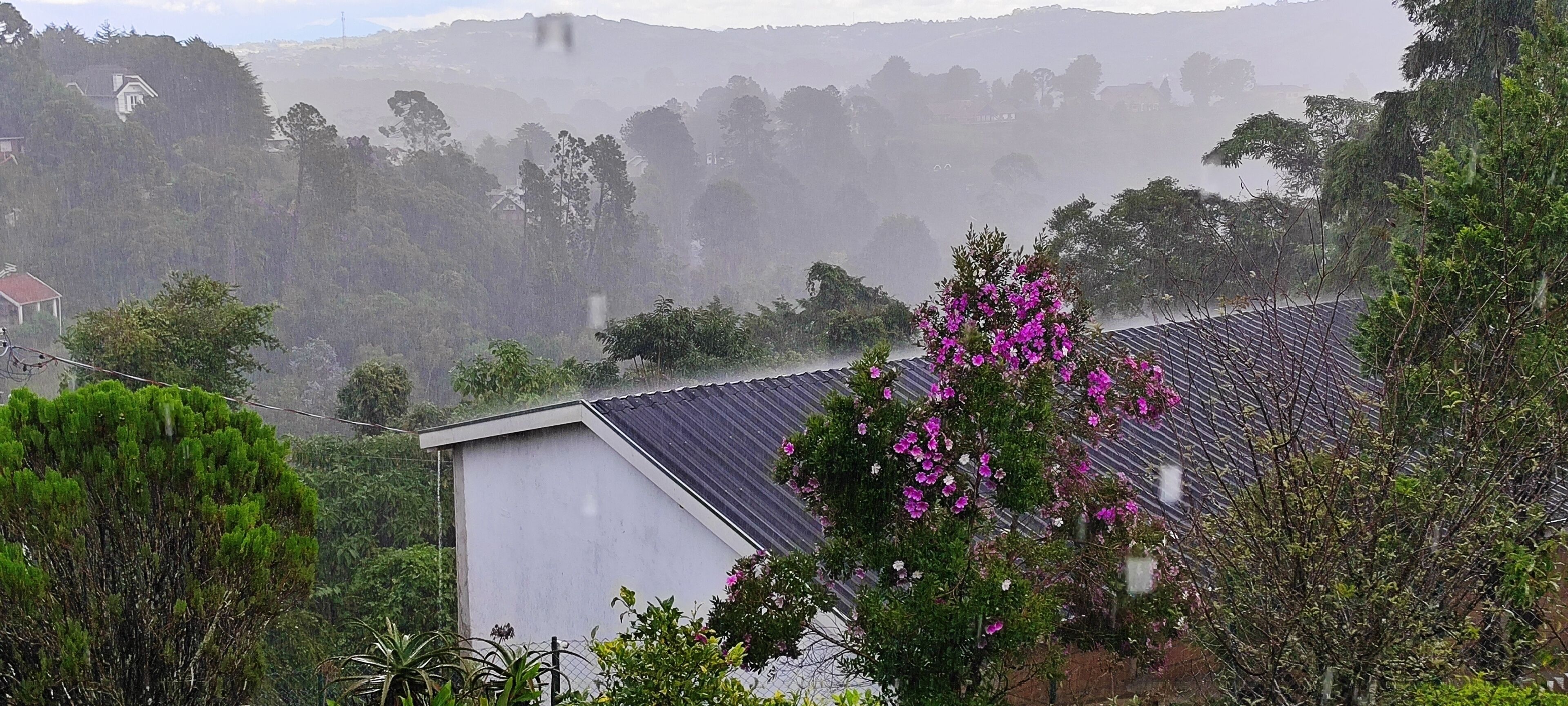 Una casa con techo inclinado y un jardín lleno de flores rosadas.