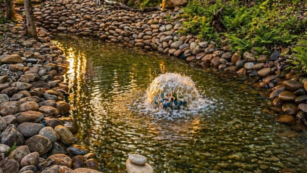 A serene pond with a stone border, surrounded by lush greenery and trees.