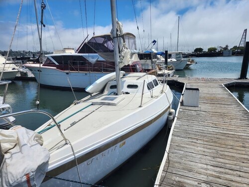 Perfect 1-bedroom boat in awesome Sausalito for a unique stay