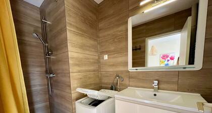 Appartement lumineux T2 avec Wi-Fi et lave-linge, centre La Roche-Posay