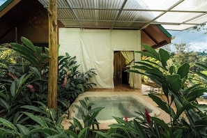 In-room safe, laptop workspace, blackout drapes, free WiFi - Drake Bay River View  (Drake Bay)