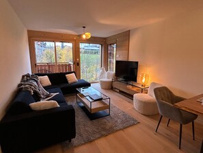 Fernseher