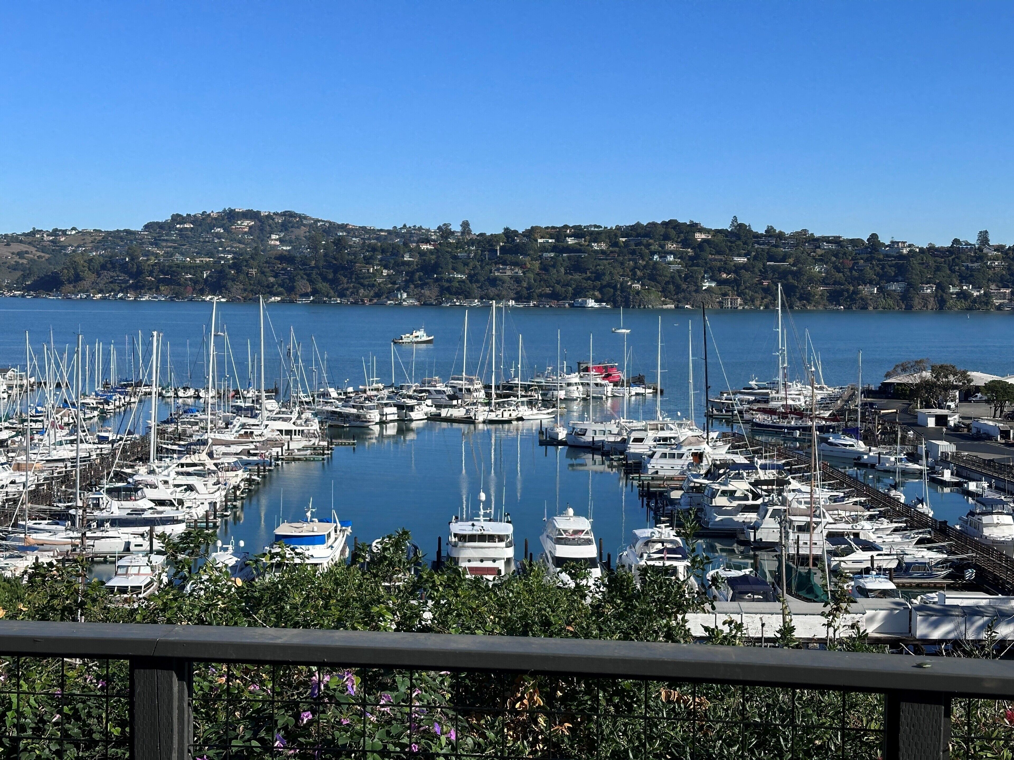 Un port de plaisance où sont amarrés de nombreux bateaux, entouré de verdure et avec des collines en arrière-plan.