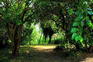 Jardines del alojamiento