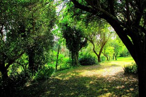 Jardines del alojamiento
