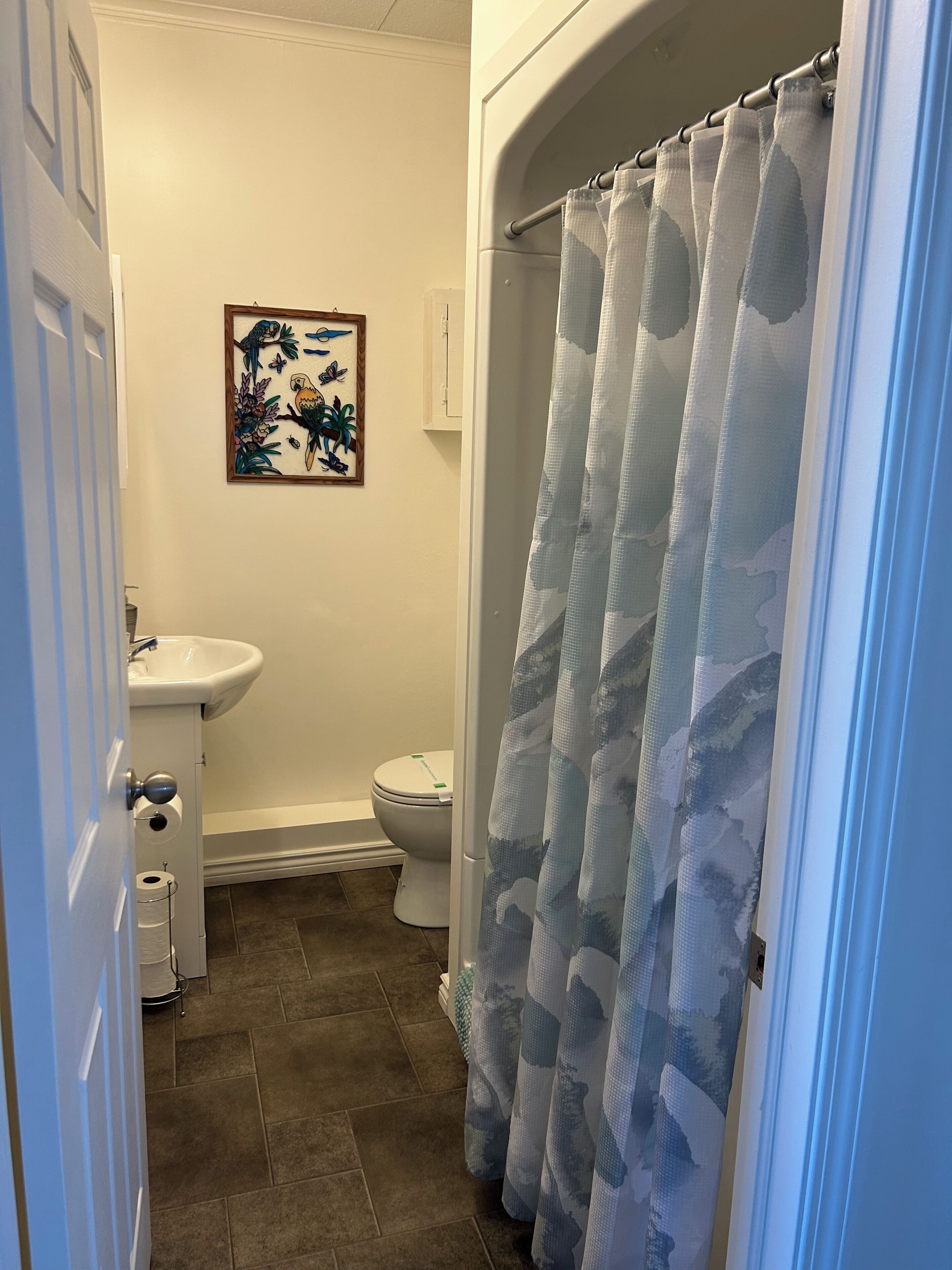 Shower, towels, soap, toilet paper