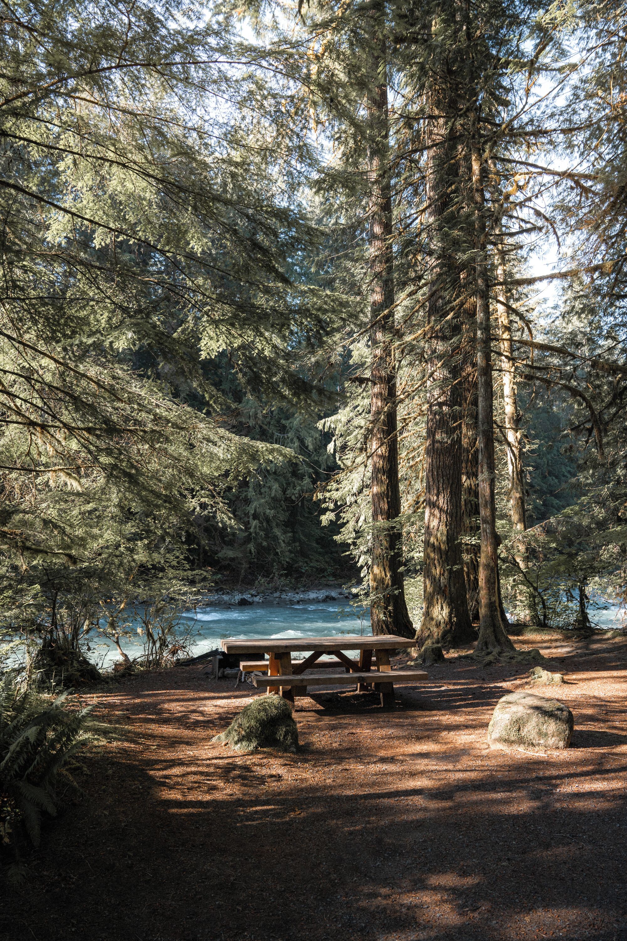 A forested area with a picnic table and a bench, surrounded by tall trees and a body of water.