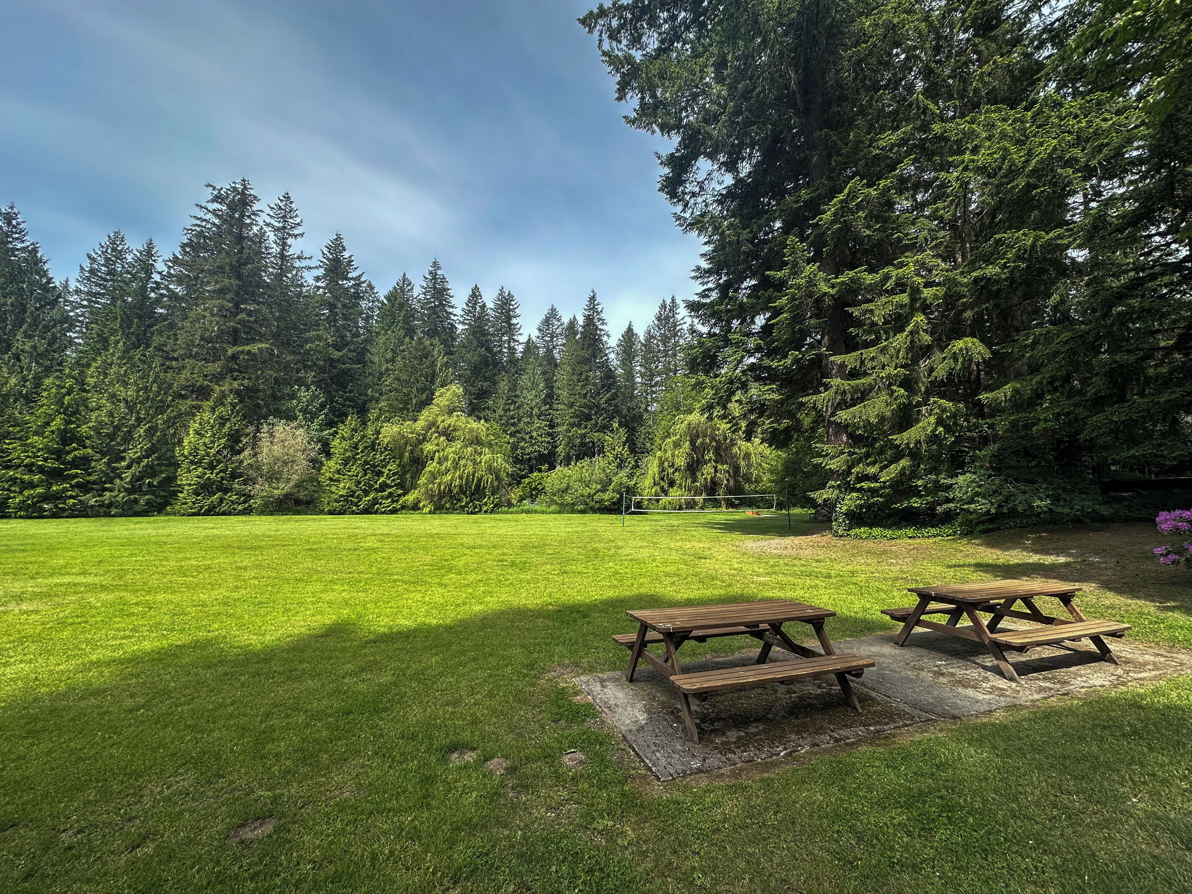 A grassy park area with two wooden picnic tables and a volleyball net.
