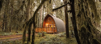 Cozy Arched Cabin, Couple's Retreat, NEW Hot Tub & Barrel Sauna