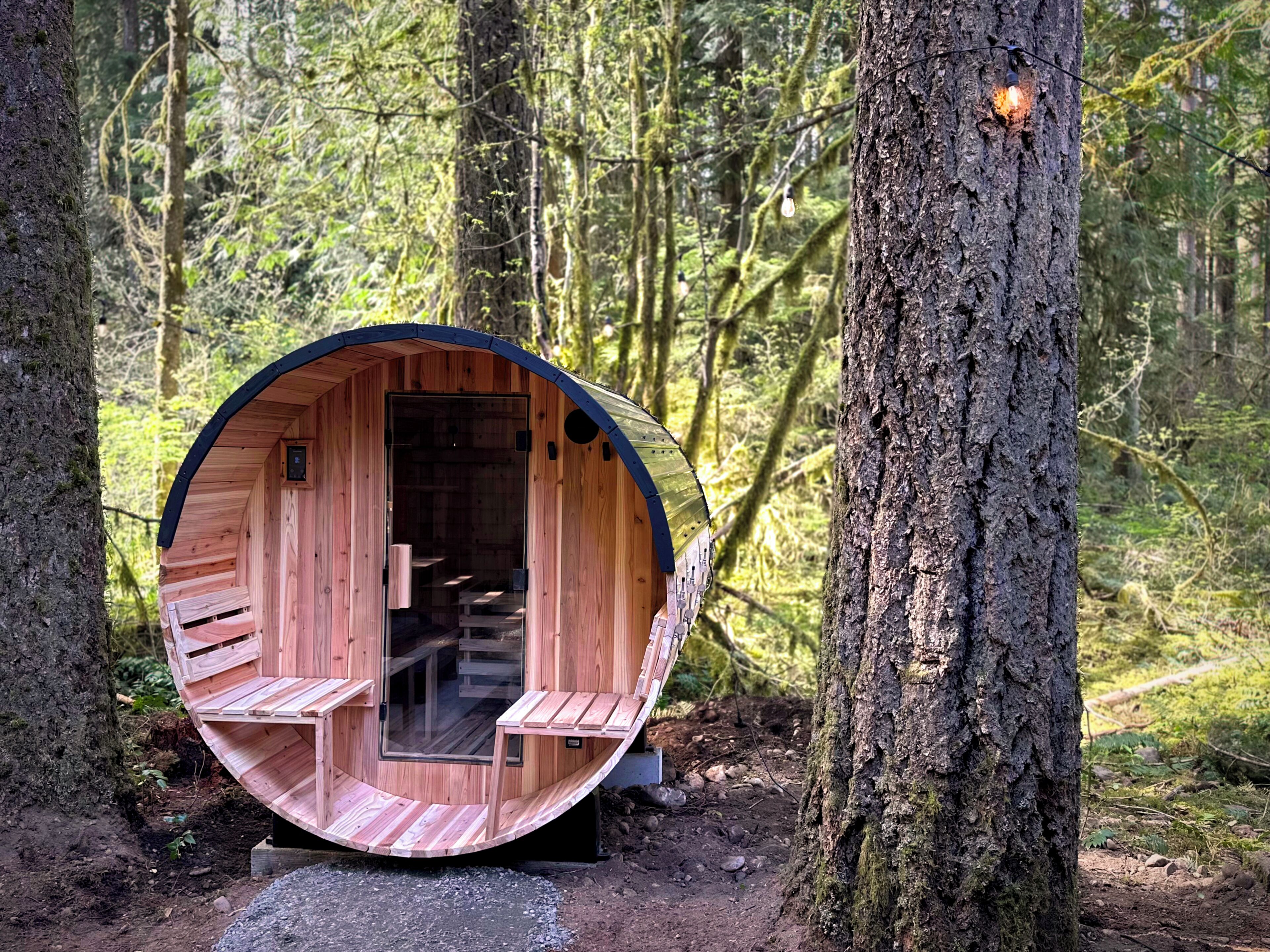 A wooden cylindrical structure with a door, a bench, and a small window, set in a forest.