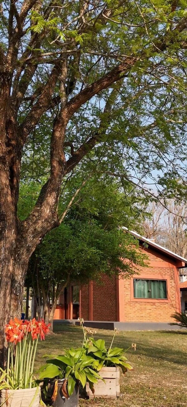 Exterior - Camping Rio Formoso LTDA (Bonito)