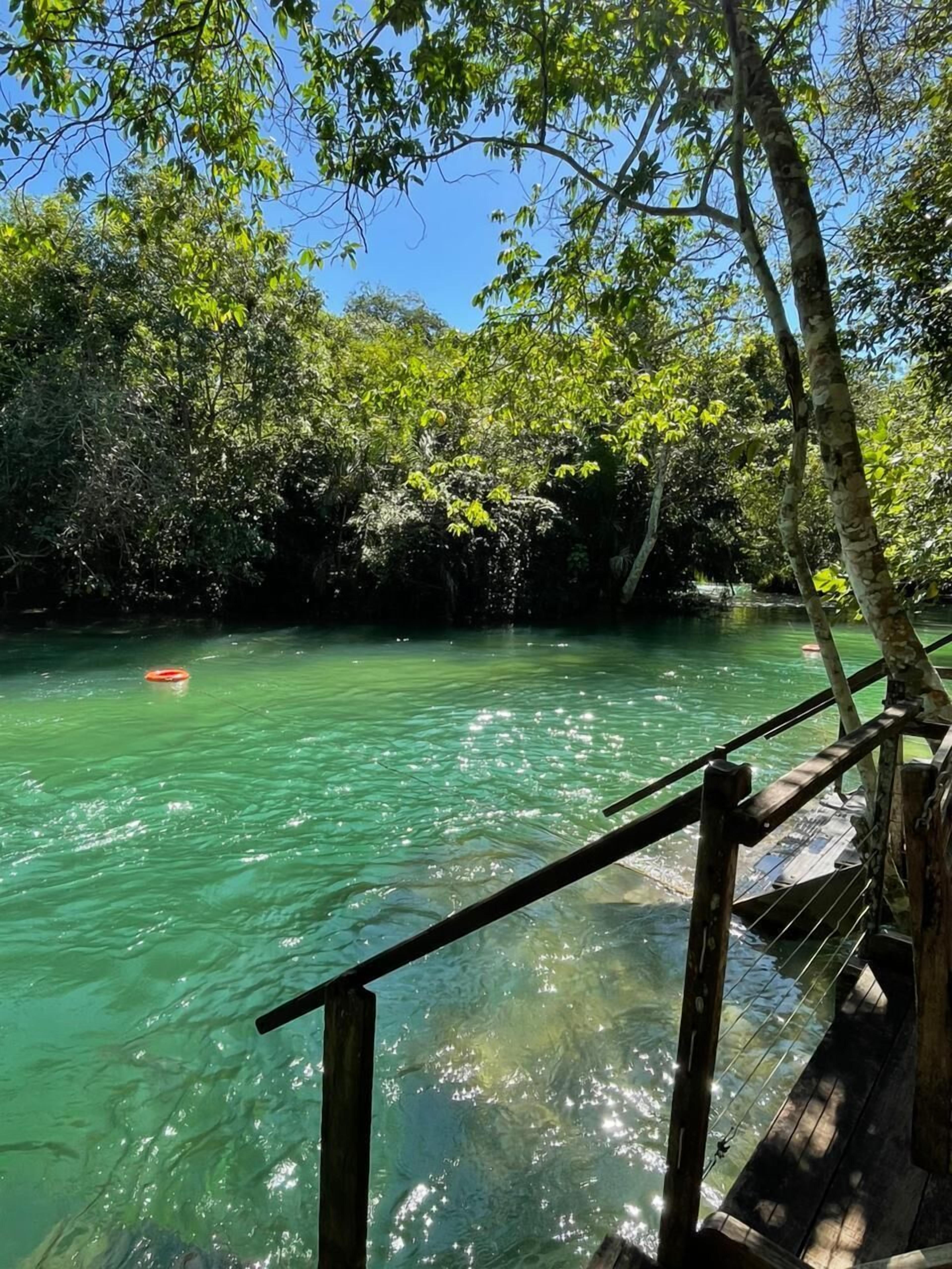 A wooden deck overlooking a clear green body of water with dense foliage in the background.