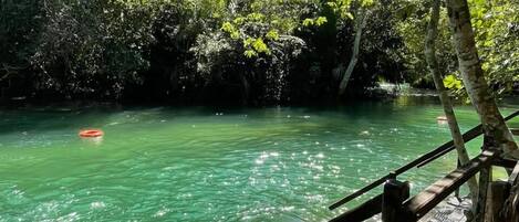 A wooden deck overlooking a clear green body of water with dense foliage in the background.